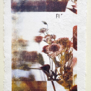 Fleurs