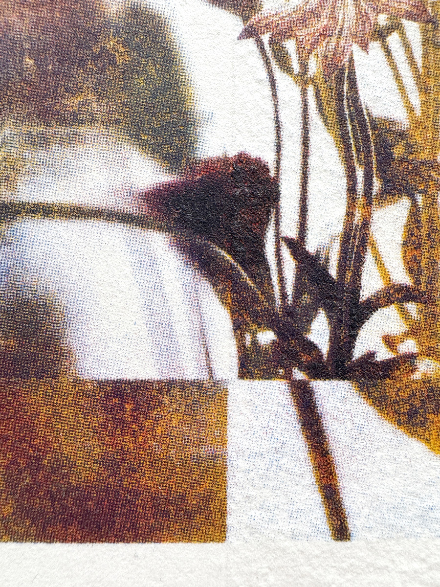 Fleurs