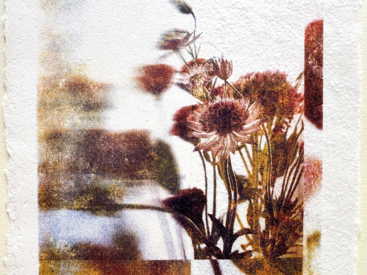 Fleurs